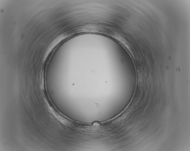 X0000072971131200608111709