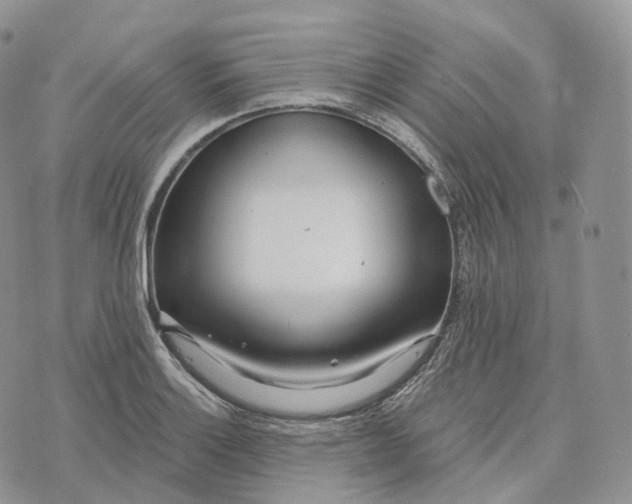 X0000072971132200608111709