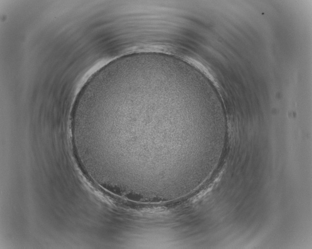 X0000072971133200608111709