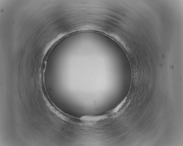 X0000072971134200608111709