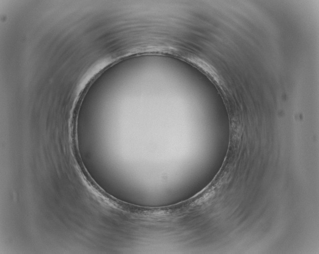 X0000072971135200608111709