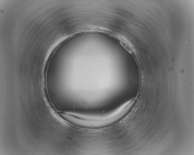 X0000072971136200608111709