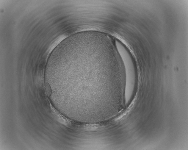 X0000072971137200608111709