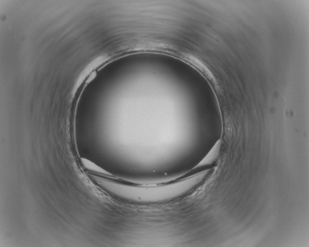 X0000072971138200608111709