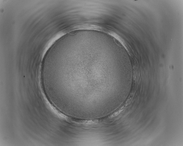 X0000072971139200608111709