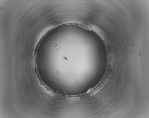 X0000072971140200608111709