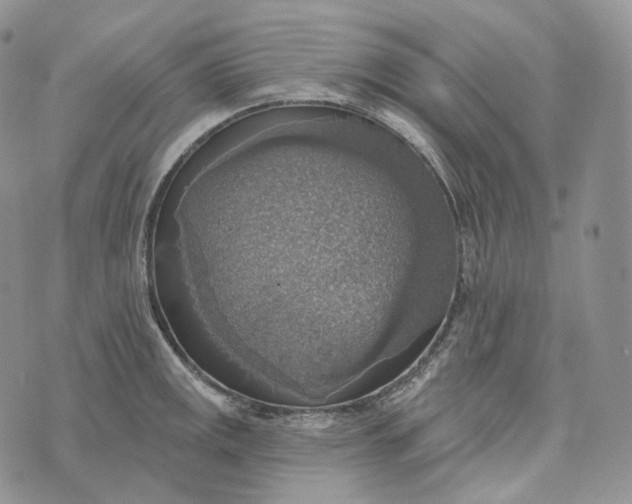 X0000072971141200608111709