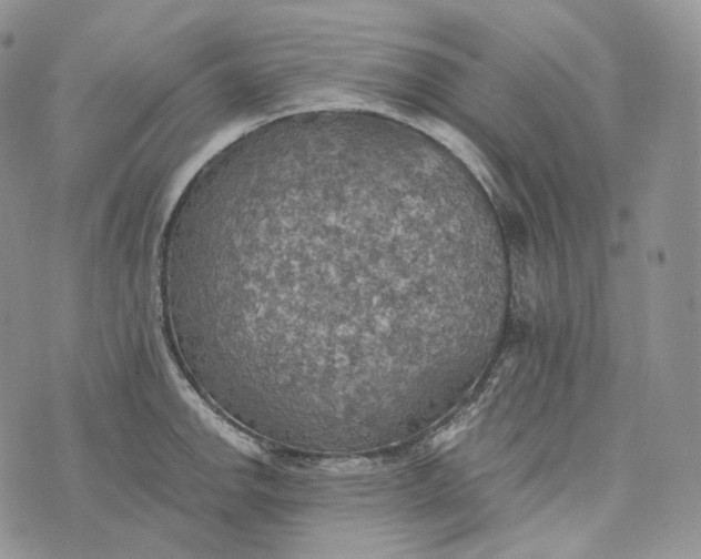 X0000072971142200608111709