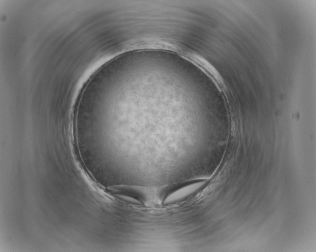 X0000072971144200608111709