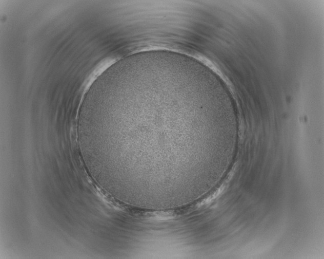 X0000072971145200608111709