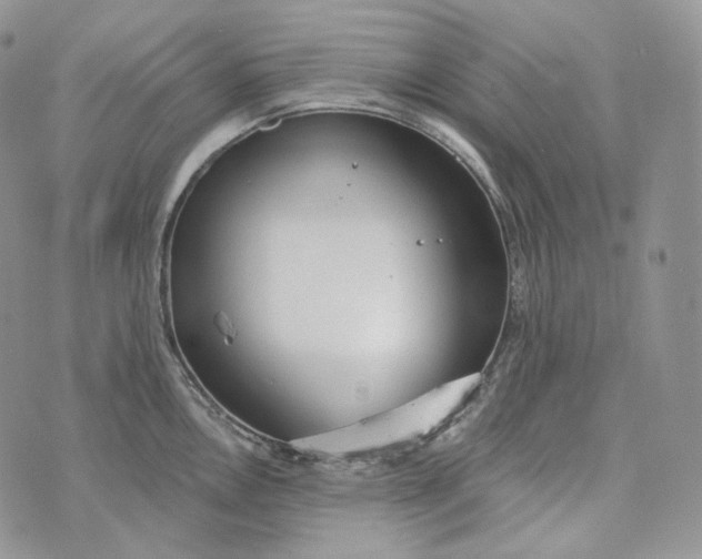 X0000072971146200608111709