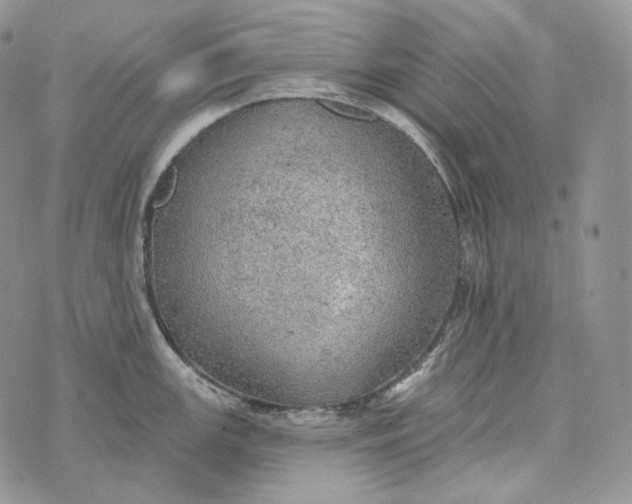 X0000072971147200608111709