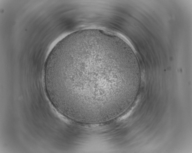 X0000072971149200608111710