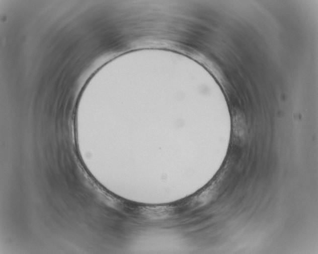 X0000072971150200608111710