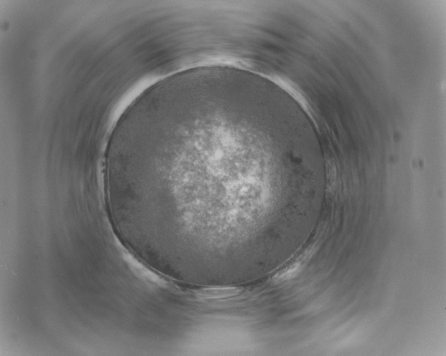 X0000072971151200608111710