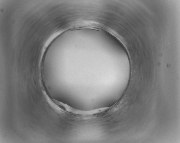 X0000072971152200608111710