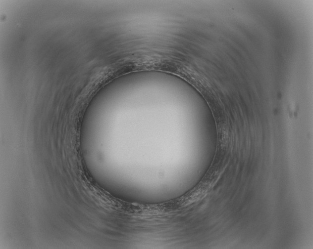 X0000072971153200608111709