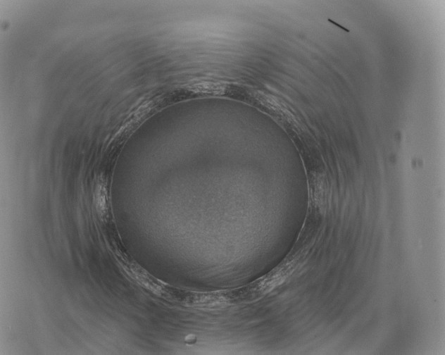 X0000072971154200608111709