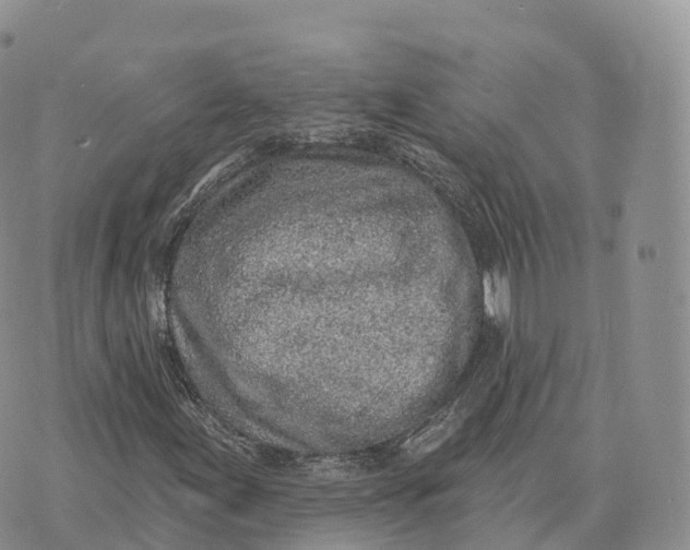 X0000072971155200608111709