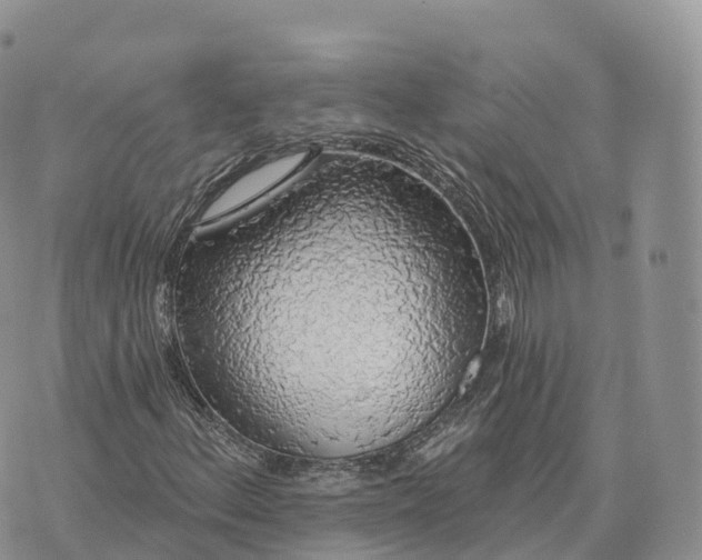 X0000072971156200608111709