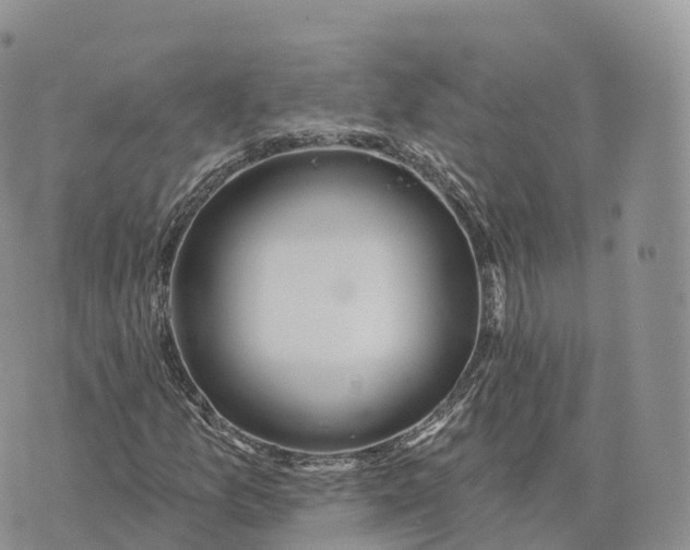 X0000072971157200608111709