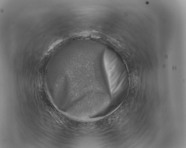 X0000072971158200608111709