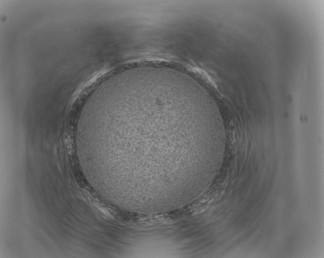 X0000072971159200608111709