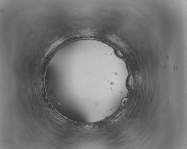 X0000072971160200608111709