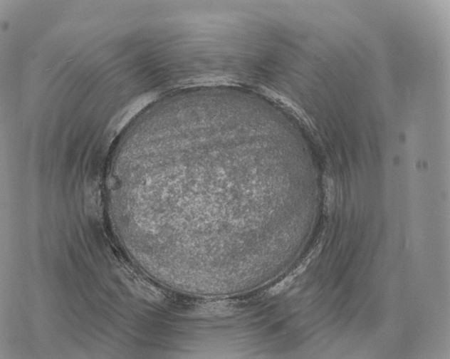 X0000072971162200608111709