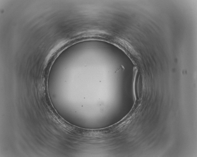 X0000072971164200608111709