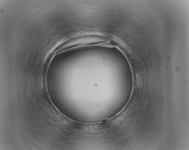 X0000072971165200608111709