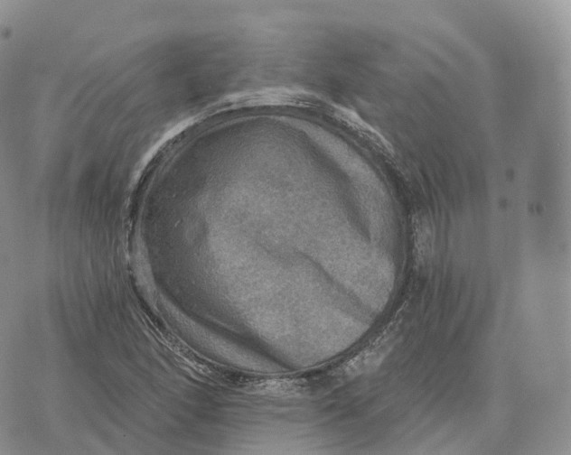 X0000072971166200608111709