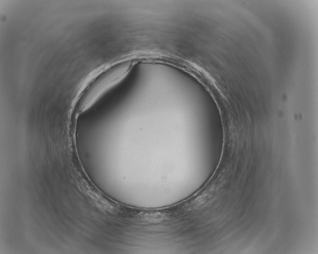 X0000072971168200608111709