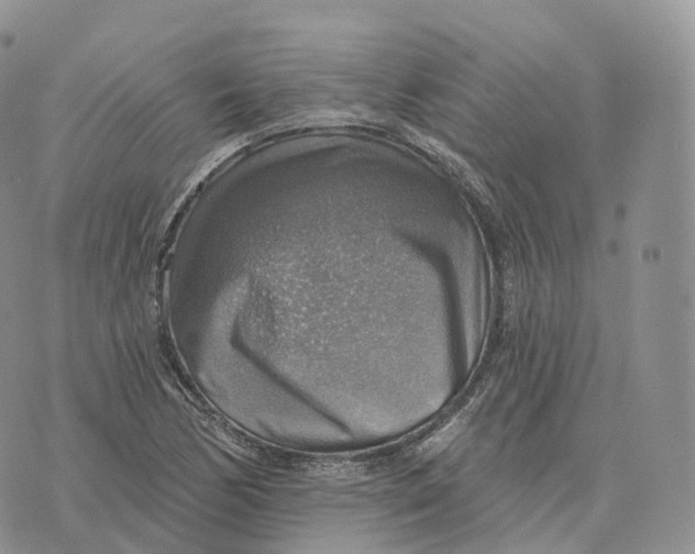 X0000072971170200608111709