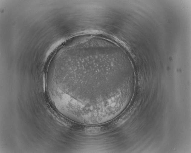 X0000072971171200608111709