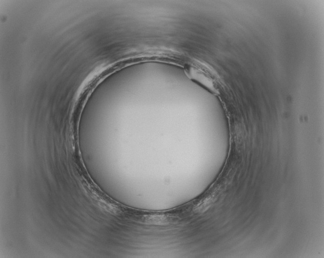 X0000072971172200608111708