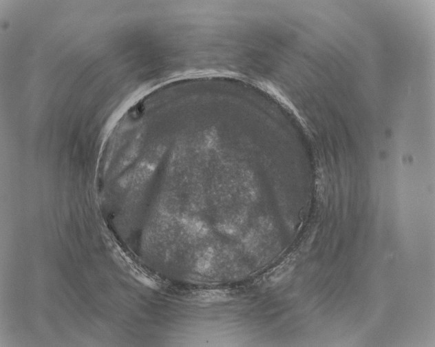 X0000072971173200608111708