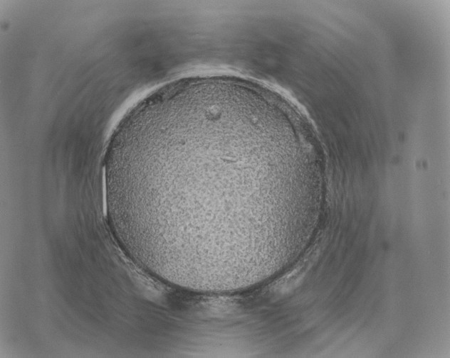 X0000072971175200608111708