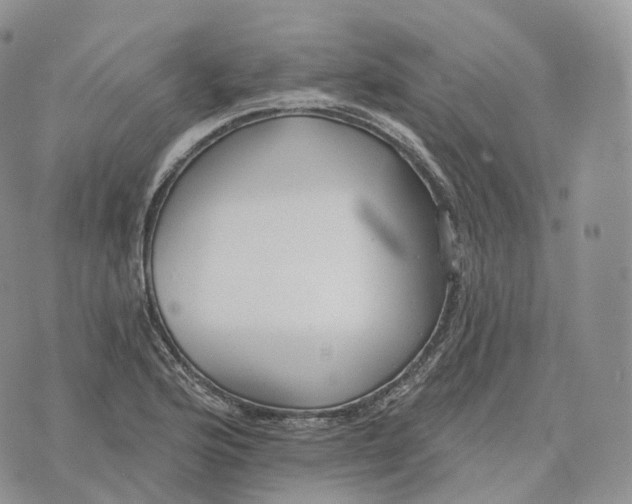 X0000072971176200608111708