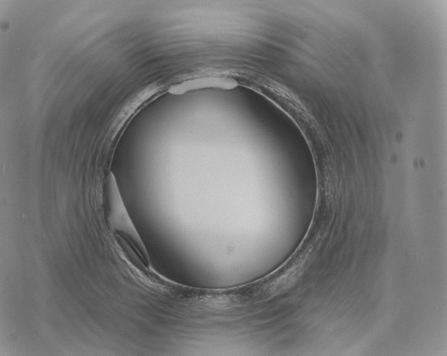 X0000072971177200608111708