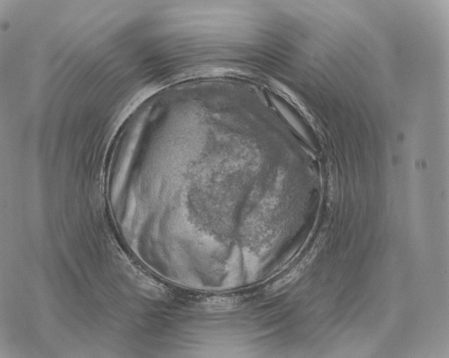 X0000072971178200608111708