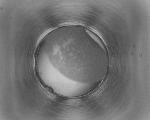 X0000072971179200608111708