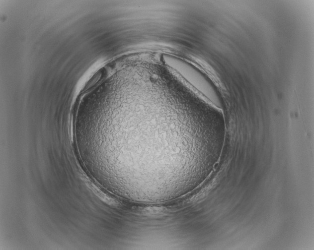 X0000072971180200608111708