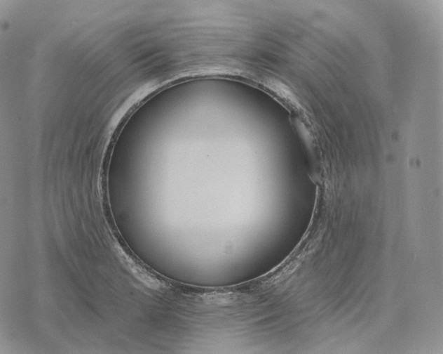 X0000072971181200608111708