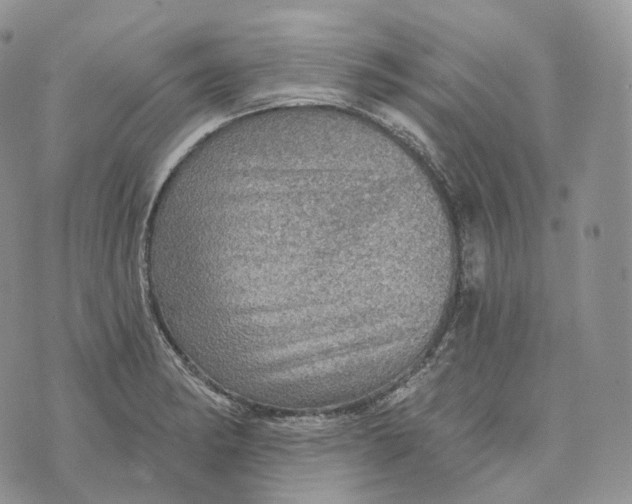 X0000072971182200608111708