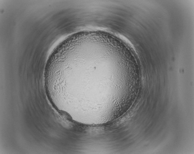 X0000072971183200608111708