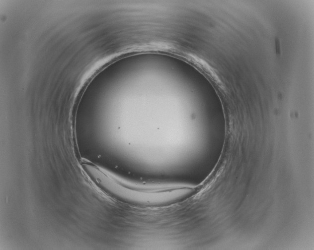 X0000072971184200608111708