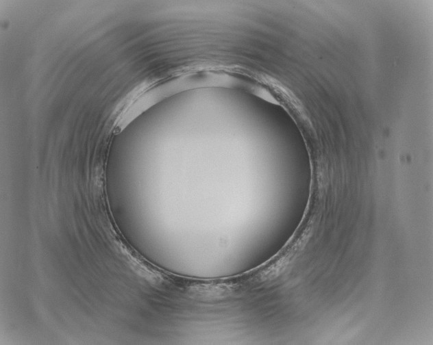 X0000072971185200608111708