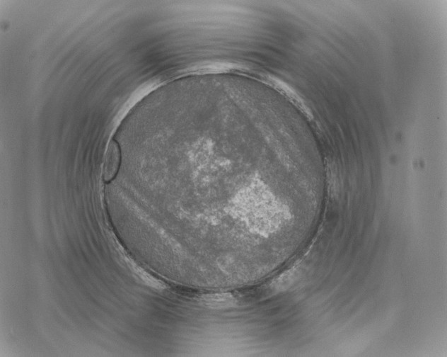 X0000072971186200608111708