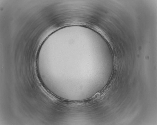 X0000072971187200608111708